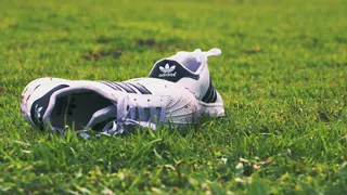 Adidas sneakers lined up on display shelf