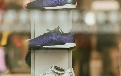 Sneaker collection displayed on shelf